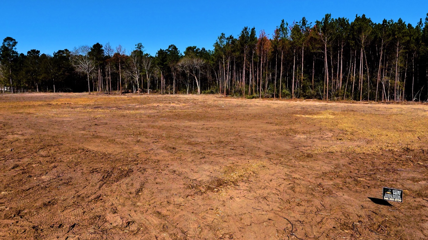 Land Clearing in Conroe, TX