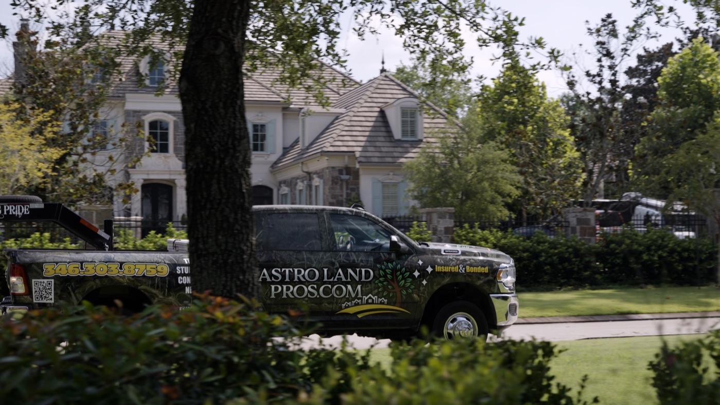 Hurricane Season Tree Prep for Houston Homeowners