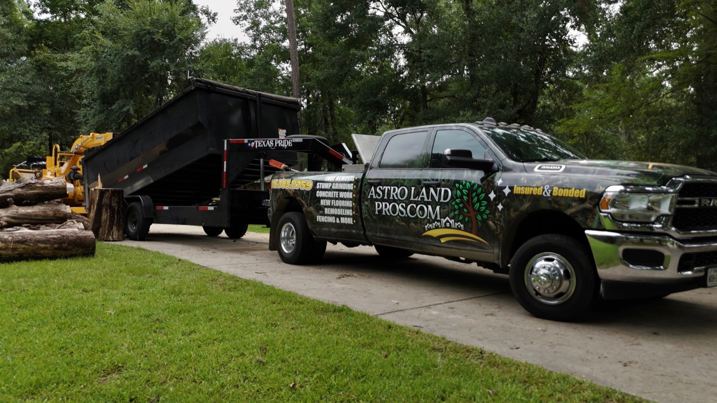 Tree Removal in Cypress, TX