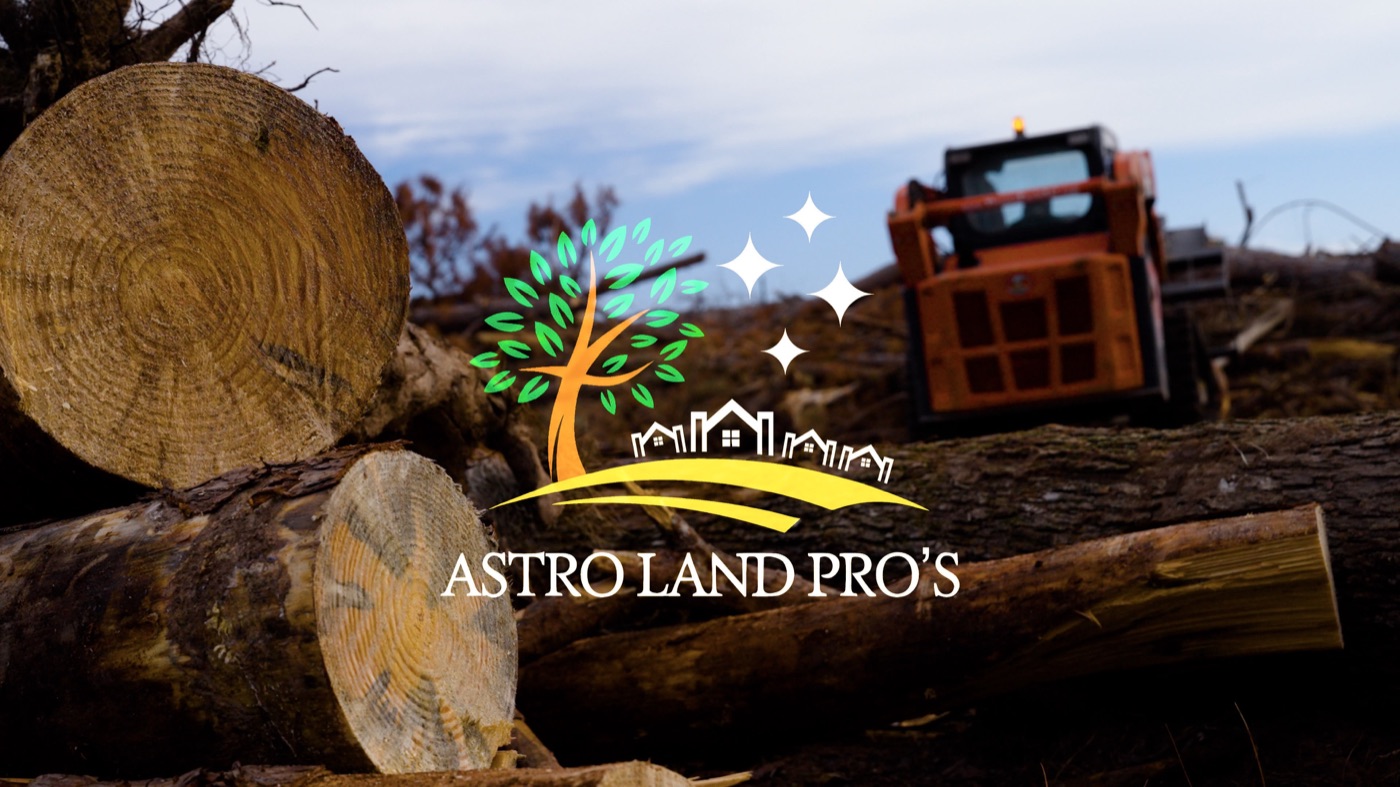 How Much Does Stump Grinding Cost?