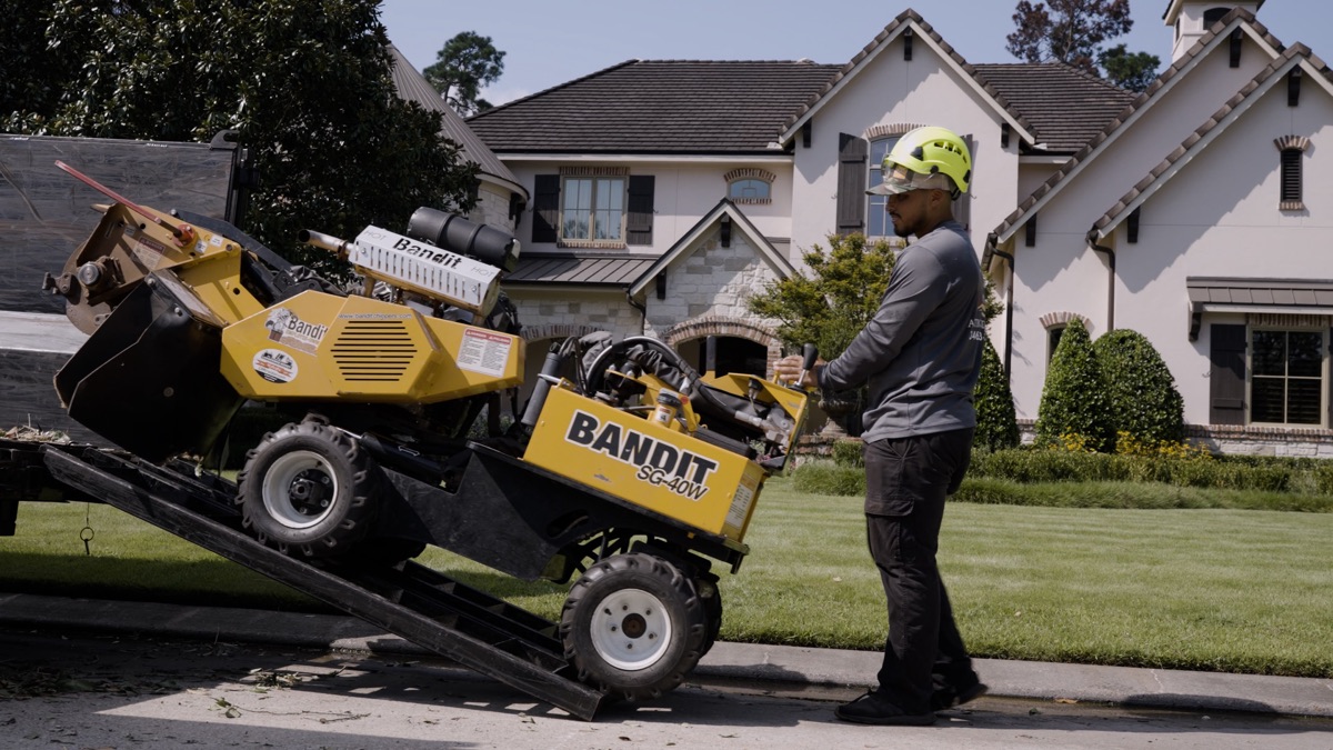 Stump Grinding vs. Stump Removal: What's the Difference?